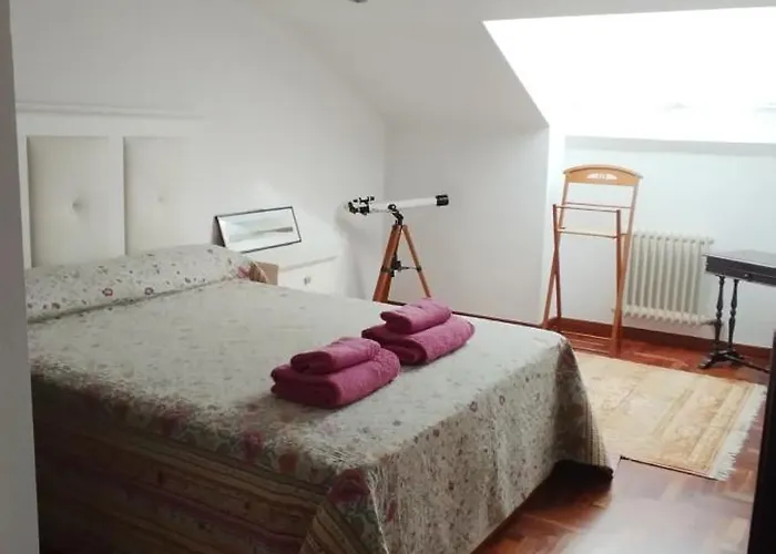 El Atico De Frida Vigo